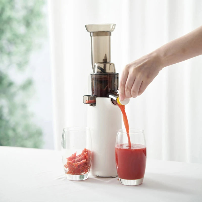 JuiceEase™ Mini Cold Press Slow Juicer C1B