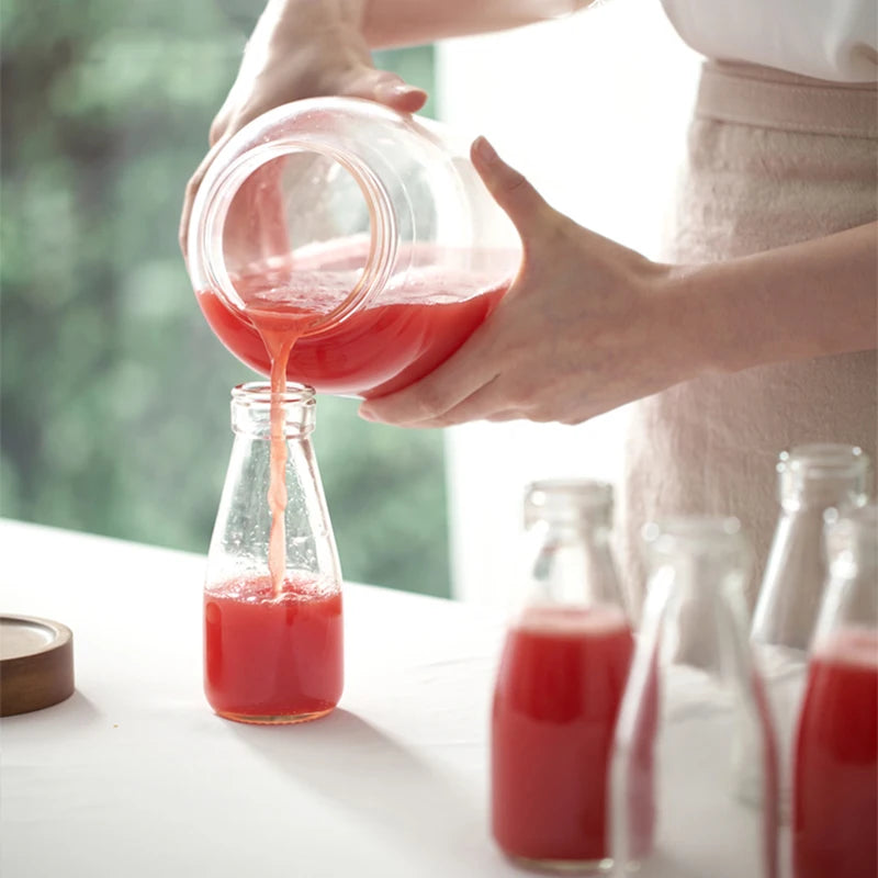 JuiceEase™ Mini Cold Press Slow Juicer C1B